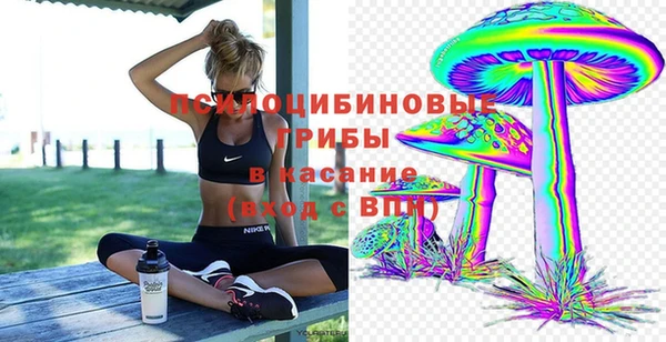 прущая мука Дмитров
