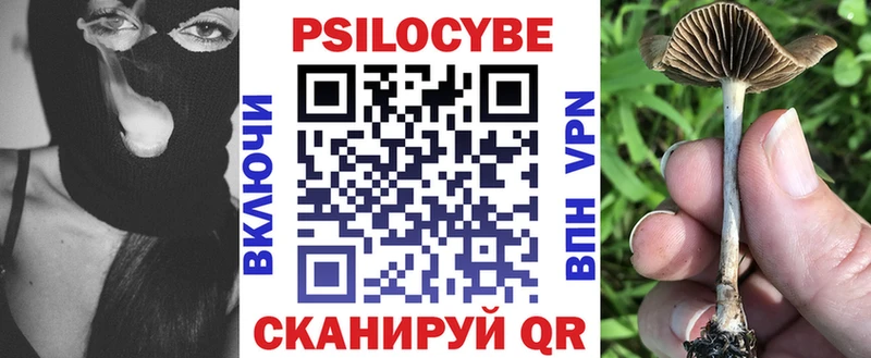 Купить закладки  Палласовка  Галлюциногенные грибы ЛСД 